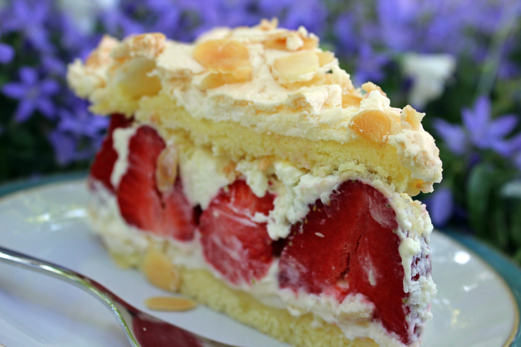 Erdbeer-Baiser-Torte – Kuchen mit Lea